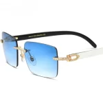 10017 E246 Buffalo Horn Designer Sunglasses Men Women