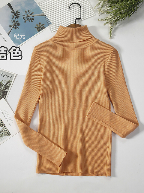 2022 Basic Turtleneck Women Sweaters Autumn Winter Thick Warm Pullover Slim Tops Ribbed Knitted Sweater Jumper 11.jpg 640x640 11