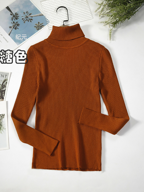 2022 Basic Turtleneck Women Sweaters Autumn Winter Thick Warm Pullover Slim Tops Ribbed Knitted Sweater Jumper 14.jpg 640x640 14