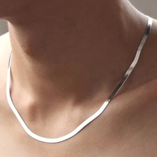 Hip Hop Snake Chain Necklace for Men New Fashion Stainless Steel Silver Color Necklace Jewelry Accessories 4