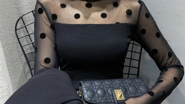 Spring Autumn 2023 Sexy Sheer Tops Long Sleeve Polka Dot Shirt Round Neck Flocking Women T