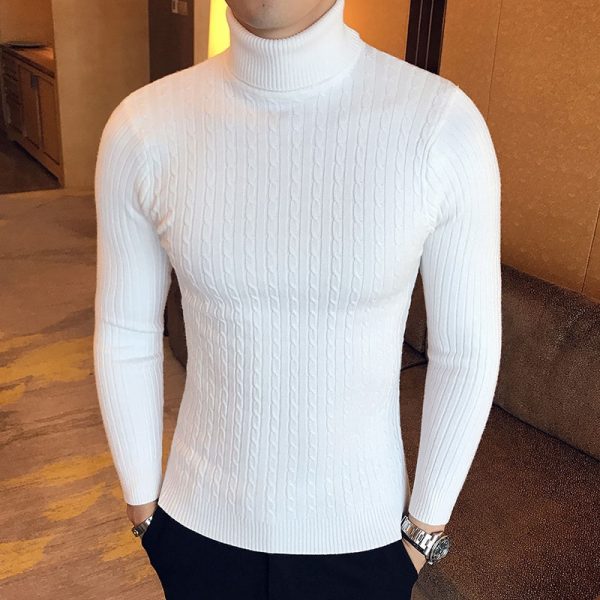 brand Men Turtleneck Sweaters and Pullovers 2021 New Fashion Knitted Sweater Winter Men Pullover Homme Wool